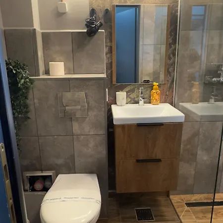 Industrial Chic Retreat Calea Victoriei Apartment Bukarest